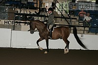 r14-04_0281 thumbnail